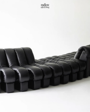 Load image into Gallery viewer, Serpentine Sofa
