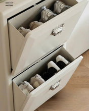 Load image into Gallery viewer, Moma Shoe Cabinet (Metal)