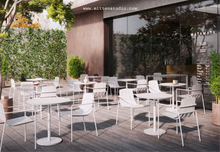 Load image into Gallery viewer, Dasia Dining With Armrest