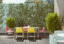 Load image into Gallery viewer, Dasia Dining With Armrest