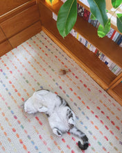 Load image into Gallery viewer, Rainbow Wool&Cashmere Rug