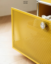 Load image into Gallery viewer, B&T Single Shoe Cabinet