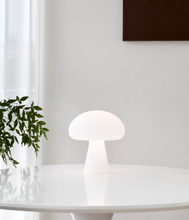 Load image into Gallery viewer, Obello Lamp