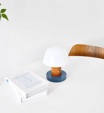 Load image into Gallery viewer, Setago Lamp