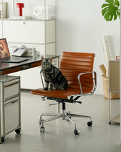 Load image into Gallery viewer, Ray Office Chair