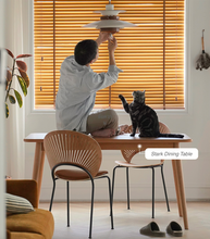 Load image into Gallery viewer, Ph5 Lamp