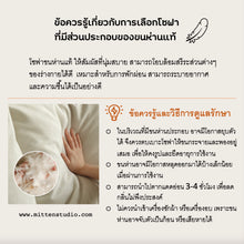 Load image into Gallery viewer, Ueno Sofa