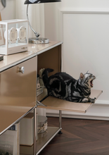 Load image into Gallery viewer, B&T Cabinet 01