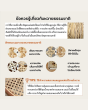 Load image into Gallery viewer, Wesley Swivel Chair
