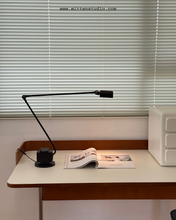 Load image into Gallery viewer, Lumina Lamp
