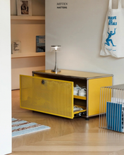 Load image into Gallery viewer, B&amp;T Single Shoe Cabinet
