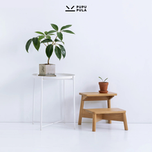 Load image into Gallery viewer, Little X Step Stool
