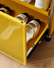 Load image into Gallery viewer, B&amp;T Single Shoe Cabinet

