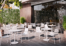 Load image into Gallery viewer, Dasia Dining With Armrest
