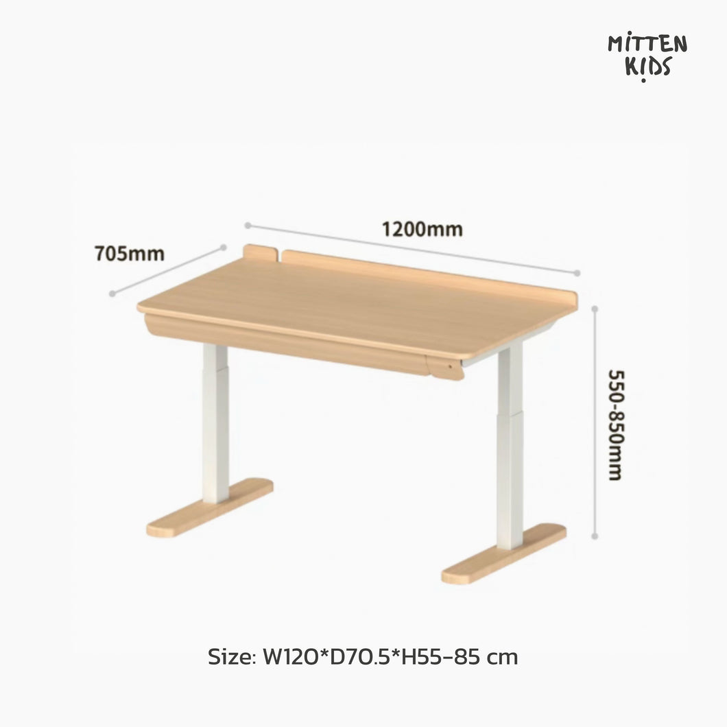 LuLu Adjustable Desk