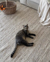 Load image into Gallery viewer, Geliwood Rug
