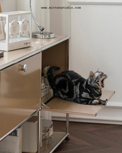 Load image into Gallery viewer, B&amp;T Cabinet 01
