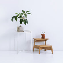 Load image into Gallery viewer, Little X Step Stool

