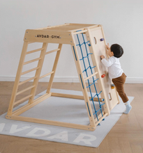 Load image into Gallery viewer, Rainbow Climbing Set and Gym Accessories
